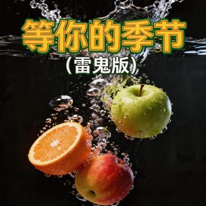 等你的季节 (雷鬼版)封面