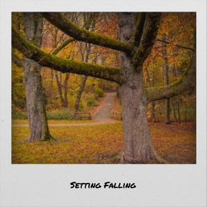 Setting Falling