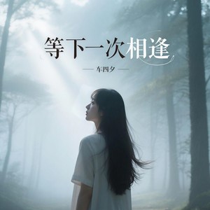 等下一次相逢 (伴奏)封面