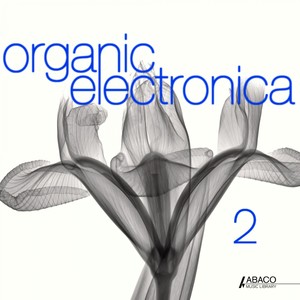 Organic Electronica, Vol. 2