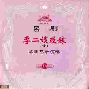 李二嫂改嫁（八）