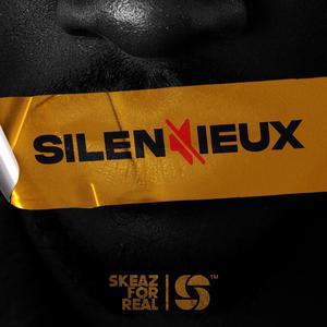 Silencieux (Acoustique)