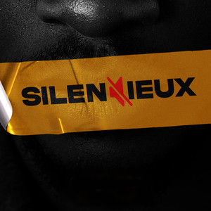 Silencieux (Acoustique)