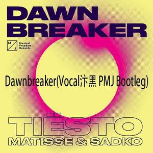 Dawnbreaker (Vocal汴黑 PMJ Bootleg)