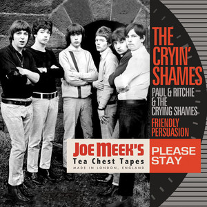 Please Stay (Live, France, May 1966)
