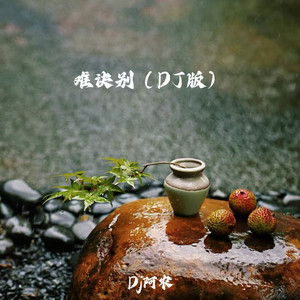 难诀别封面