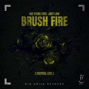 Brush Fire (Festival Remix Extended)