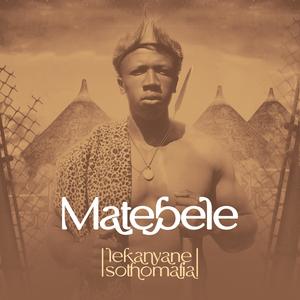 Matebele (Live)