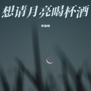 想请月亮喝杯酒 (节奏版)