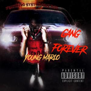 Gang Forever (Explicit)