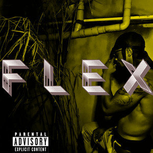 FLEX (Explicit)