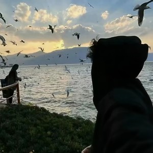 与我无关-沈诚诚