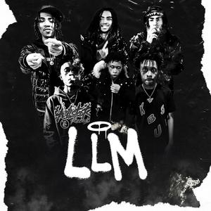 LLM (Explicit)