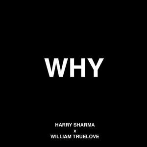 WHY(feat. William Truelove) (Explicit)