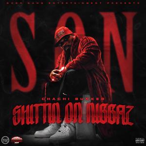 S.O.N (SHITTIN ON NIGGAZ) [Explicit]