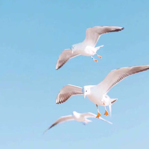 动霸世界 (抒情版)