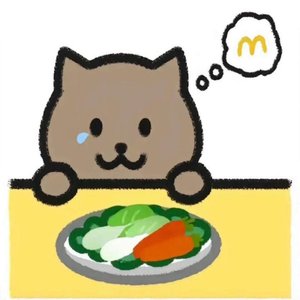 Nếu Ánh Trăng Không Đến