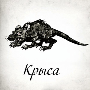 Крыса (Explicit)