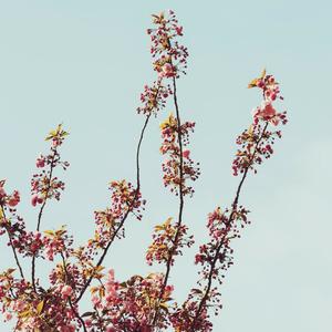 Sunny in Seattle (Explicit)