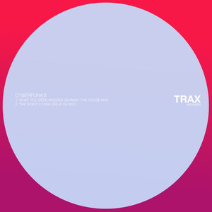The Right 2 Funk (Deja Vu Mix)