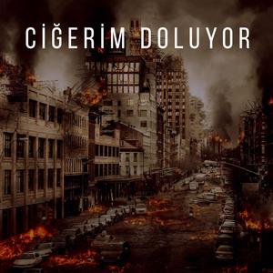 Ciğerim Doluyor (feat. Orhan, Tuğçe Kandemir & Tuana Özkurt) [Remix]