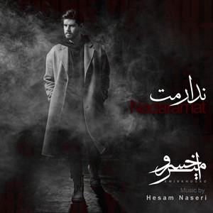 Nadaramat (feat. Hesam Naseri)