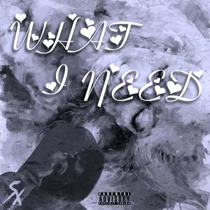 What I Need (Explicit)