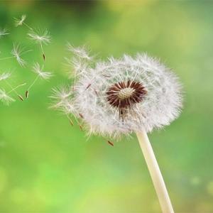 Calm Wind (Explicit)