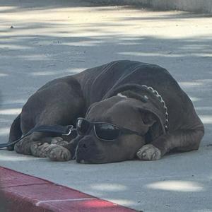 2000something/2 tired to try (Explicit)