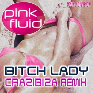 B**ch Lady (Crazibiza Remix)