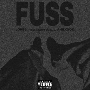 Fuss (Explicit)