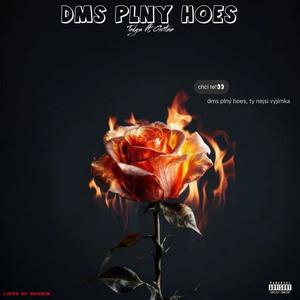 DMS plný hoes (feat. Gritzz) [Explicit]