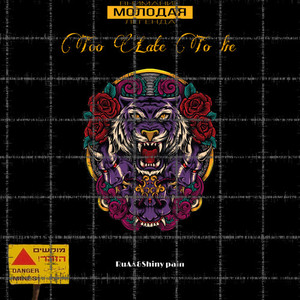 Too Late To Lie (feat. Shiny pain) (Explicit)