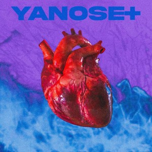 YANOSE+