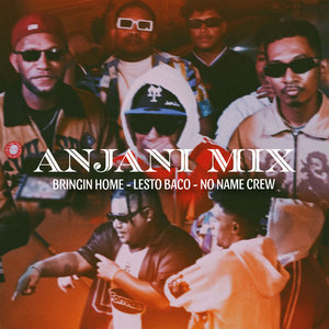 ANJANI MIX (Explicit)