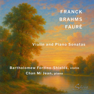 Violin Sonata n.2 in A MAjor,op.100 Allegro amabile