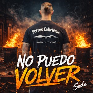 No puedo volver (Rmx)