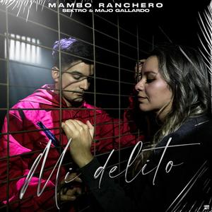 Mi delito(feat. Mambo ranchero, sentimiento musical & majo gallardo)
