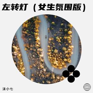 左转灯-沫小七