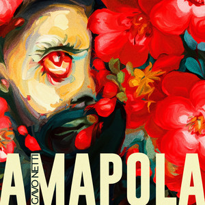 Amapola