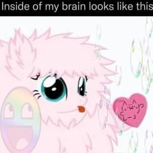 maybe i am a loser (Explicit)