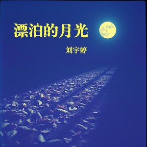 漂泊的月光