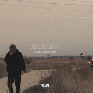 Пантера (Explicit)