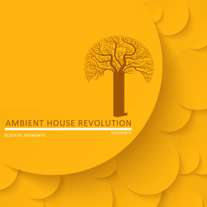 Ambient House Revolution, Session 5 - Ecstatic Moments