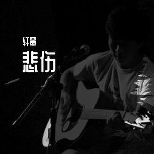 有一种悲伤 (翻自 群星)