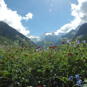 Is This Really Love? (EJK Mix)