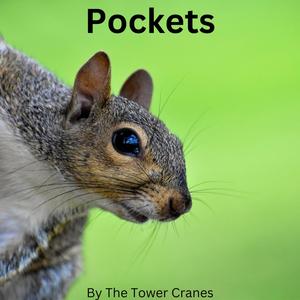 Pockets