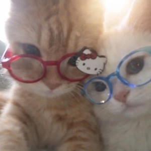 恋爱循环（哈气循环哈基米）