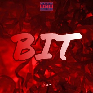 Bit (Explicit)