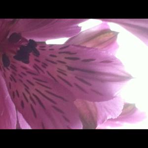 Before You Go (Acoustic)